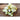 White Wonder Cucumber (Heirloom 60 Days) - Vegetables