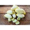 White Wonder Cucumber (Heirloom 60 Days) - Vegetables
