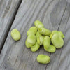 Windsor Fava Bean (75 days) - Vegetables