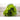 Winter Density Lettuce (28-54 Days) - Vegetables