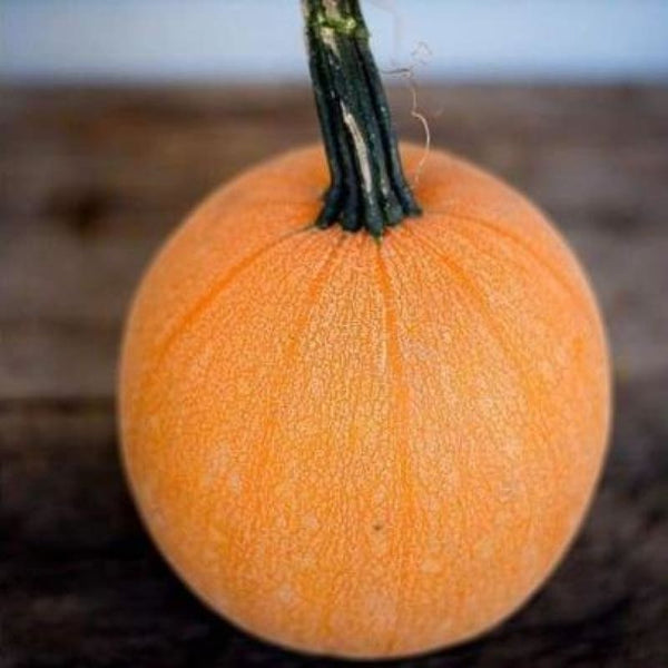 ☆pumpkin pie☆ Krusteaz Pumpkin Pie Bar Mix - 17.25 Oz - jewelosco