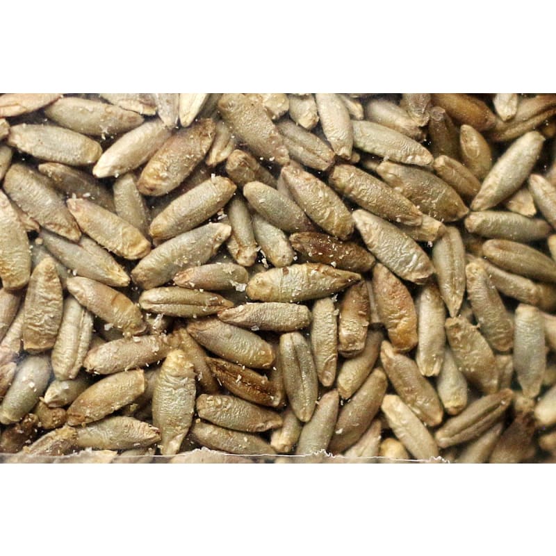401 Winter Rye WINTER RYE – Pinetree Garden Seeds