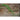 Yard Long Bean (90 days Heirloom) - Vegetables
