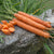 Yaya Carrot (F1 Hybrid 55 Days Organic) - Vegetables