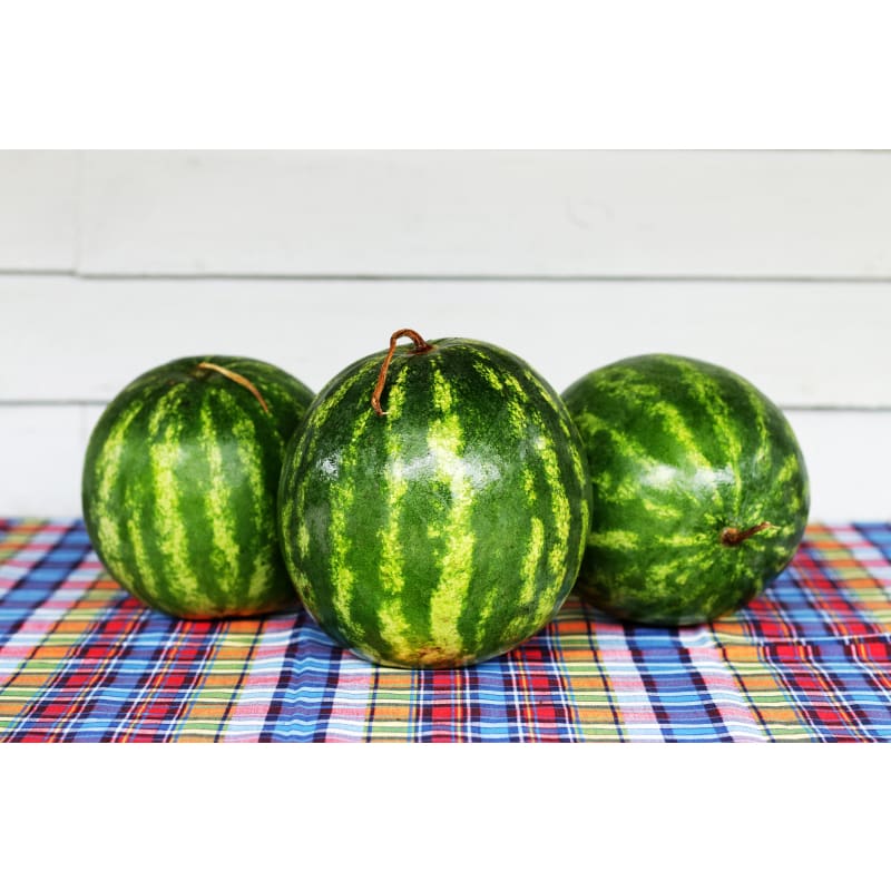 Yellow Petite Watermelon (80 Days) - Vegetables